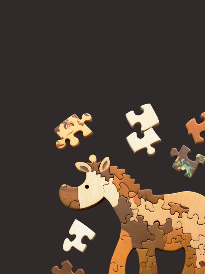 Kids’ Puzzles