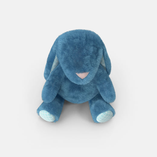 Soft Blue Bunny