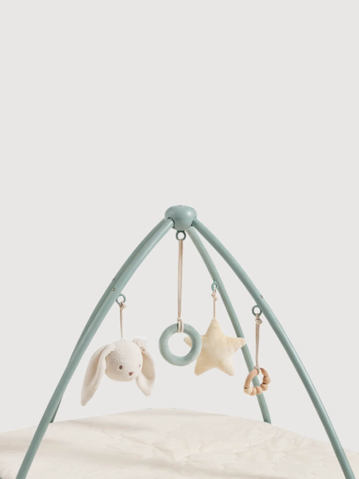 Baby Toys